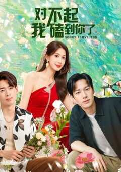 2025年国产大陆电视剧《对不起，我磕到你了》全20集 4K网盘迅雷下载