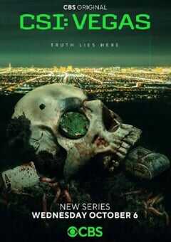 2021年美国电视剧《犯罪现场调查：维加斯 第一季》全10集 4K网盘迅雷下载