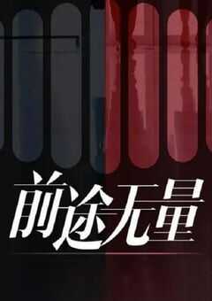 2024年国产大陆电视剧《前途无量》全26集 4K网盘迅雷下载