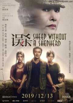 2019年国产经典悬疑犯罪片《误杀》蓝光国语中字 4K网盘迅雷下载