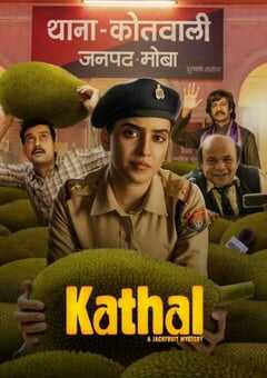 2023年印度喜剧片《菠萝蜜之谜》BD印地语中字 4K网盘迅雷下载