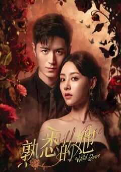 2025年国产大陆电视剧《熟悉的她》全24集 4K网盘迅雷下载