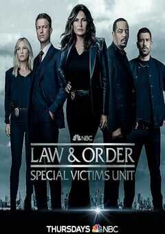 2022年美国电视剧《法律与秩序：特殊受害者 第二十四季》全22集 4K网盘迅雷下载