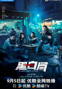 2025年国产大陆电视剧《黑白局》全20集 4K网盘迅雷下载