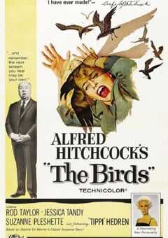 1963年美国经典灾难片《群鸟》蓝光中英双字 4K网盘迅雷下载