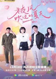 2022年国产大陆电视剧《被风吹过的夏天》全24集 4K网盘迅雷下载