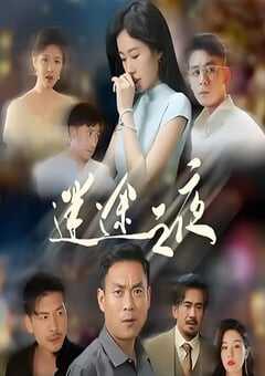 2025年国产大陆电视剧《迷途之夜》全14集 4K网盘迅雷下载