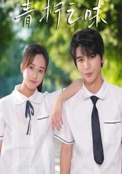 2024年国产大陆电视剧《青柠之味》全12集 4K网盘迅雷下载