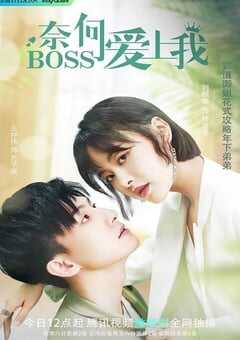 2022年国产大陆电视剧《奈何BOSS爱上我》全16集 4K网盘迅雷下载
