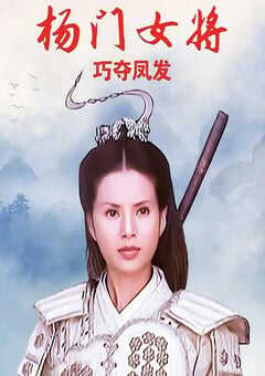 2001年国产经典武侠片《杨门女将之巧夺凤发》HD国语无字 4K网盘迅雷下载