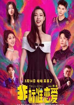 2025年国产爱情片《非标准恋爱》HD国语中英双字 4K网盘迅雷下载
