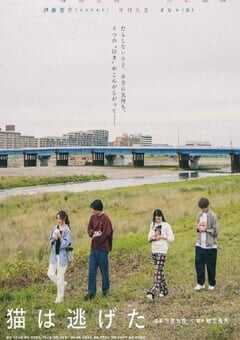 2022年日本6.7分剧情片《猫猫逃走了》BD日语中字 4K网盘迅雷下载