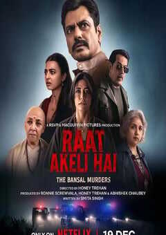 2025年印度犯罪片《孤夜：豪门血案》HD印地语中字 4K网盘迅雷下载