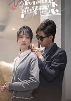 2023年国产大陆电视剧《凉小姐的璀璨热恋》全14集 4K网盘迅雷下载