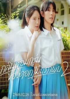 2025年中国台湾电视剧《第一次遇见花香的那刻2》全12集 4K网盘迅雷下载