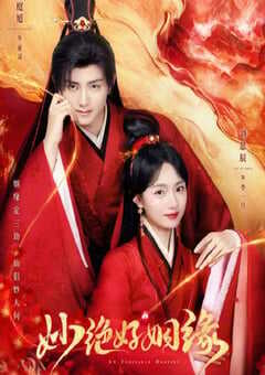 2024年国产大陆电视剧《妙绝好姻缘》全18集 4K网盘迅雷下载