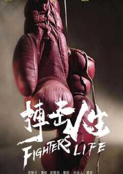 2021年国产动作片《搏击人生》HD国语中字 4K网盘迅雷下载