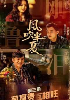 2022年国产大陆电视剧《风吹半夏》全36集 4K网盘迅雷下载
