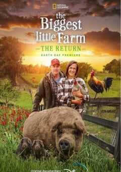 2022年美国纪录片《最大的小小农场：回归》HD国粤英三语中字 4K网盘迅雷下载