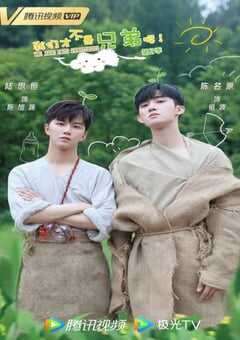 2022年国产大陆电视剧《我们才不是兄弟呢 第2季》全30集 4K网盘迅雷下载