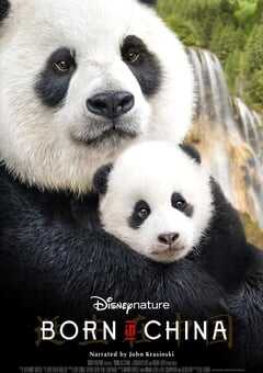 2016年国产经典纪录片《我们诞生在中国》蓝光国英双语中英双字 4K网盘迅雷下载