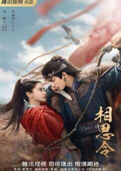2025年国产大陆电视剧《相思令》全30集 4K网盘迅雷下载
