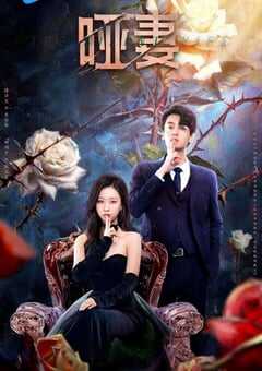 2024年国产大陆电视剧《哑妻》全24集 4K网盘迅雷下载