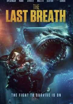 2024年英国惊悚片《逃鲨》HD英语中字 4K网盘迅雷下载