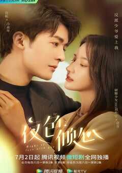 2022年国产大陆电视剧《夜色倾心》全24集 4K网盘迅雷下载