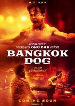 2024年泰国动作片《曼谷战狼》HD英语中字 4K网盘迅雷下载