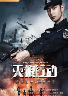 2020年国产动作片《灭狼行动》HD国语中字 4K网盘迅雷下载