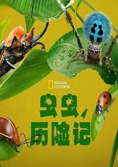 2024年美国纪录片《虫虫历险记》全5集 4K网盘迅雷下载