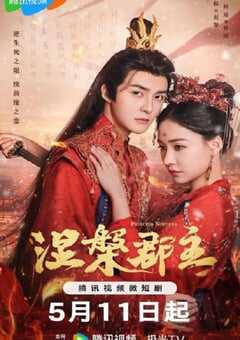 2024年国产大陆电视剧《涅槃郡主》全20集 4K网盘迅雷下载