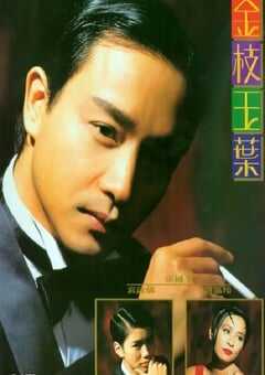 1994年中国香港经典爱情片《金枝玉叶》蓝光国粤双语中字 4K网盘迅雷下载