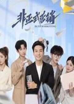 2025年国产大陆电视剧《非正式营销》全24集 4K网盘迅雷下载