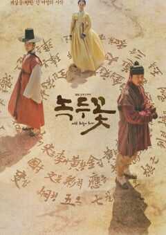 2019年韩国电视剧《绿豆花》全24集 4K网盘迅雷下载