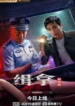 2024年国产动作片《缉拿杨枪枪》HD国语中字 4K网盘迅雷下载