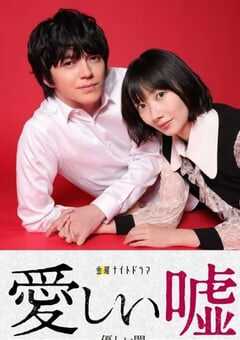 2022年日本电视剧《可爱的谎言～温柔的黑暗～》全8集 4K网盘迅雷下载