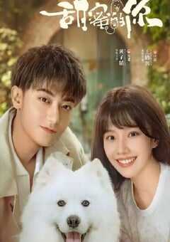 2023年国产大陆电视剧《甜蜜的你》全40集 4K网盘迅雷下载