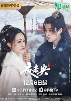 2024年国产大陆电视剧《夜未央》全30集 4K网盘迅雷下载