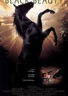 1994年美国经典冒险片《黑骏马》蓝光中英双字 4K网盘迅雷下载