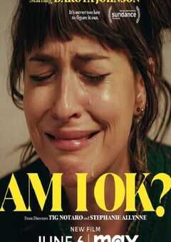 2022年美国喜剧片《我还好吗》HD英语中字 4K网盘迅雷下载