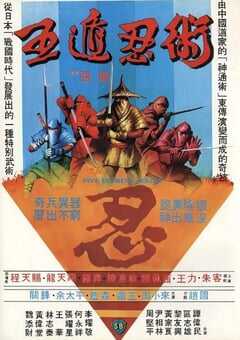 1982年中国香港经典武侠片《五遁忍术》蓝光国语中字 4K网盘迅雷下载