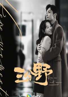 2023年国产大陆电视剧《三分野》全32集 4K网盘迅雷下载