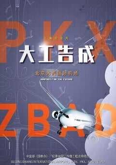 2020年国产大陆纪录片《大工告成——北京大兴国际机场》全3集 4K网盘迅雷下载
