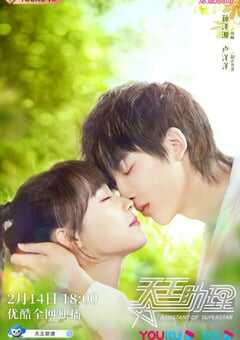 2022年国产大陆电视剧《天王助理》全24集 4K网盘迅雷下载