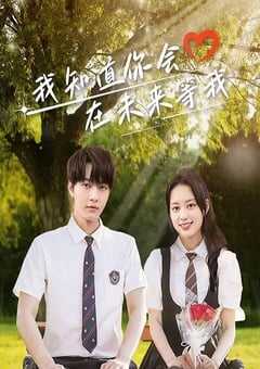 2025年国产大陆电视剧《我知道你会在未来等我》全23集 4K网盘迅雷下载