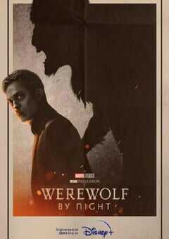 2022年美国6.9分动作悬疑片《暗夜狼人》BD中英双字 4K网盘迅雷下载