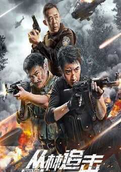 2024年国产动作片《丛林追击》HD国语中字 4K网盘迅雷下载