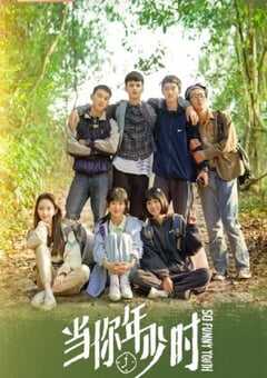 2022年国产大陆电视剧《当你年少时》连载至20 4K网盘迅雷下载